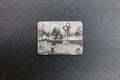 Golf Cartridge/Insert